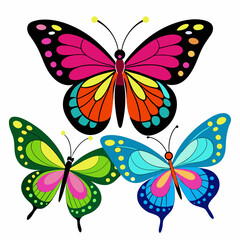 set of butterflies collections illustrations vector art isolated white background