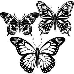 set of butterflies collections illustrations vector art isolated white background