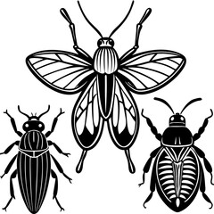 set of insects collections illustrations vector art isolated white background