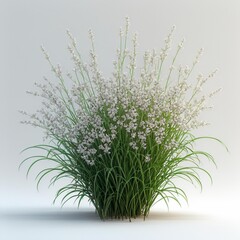 Fototapeta premium Cocklebur Flower Icon Material - Create a Fresh and Natural Visual Enjoyment