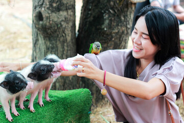A woman is playing with a piglet and a little parrot. © Idsaree