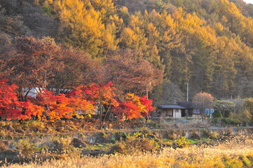 autumn in the mountains