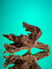 Close-up of wooden driftwood of intricate complex shape for interior decoration on mirror surface on green background