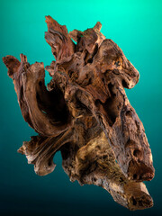 Close-up of wooden driftwood for aquarium or terrarium on mirror surface on green background