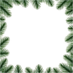 Pines border transparent background