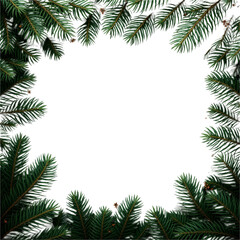 Pines border transparent background
