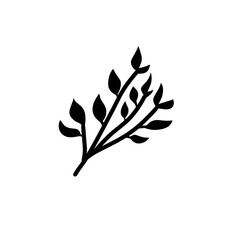plant leaf branch silhouette