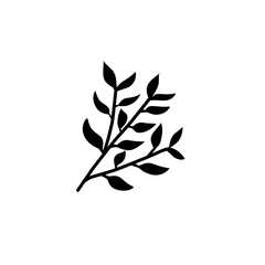 plant leaf branch silhouette