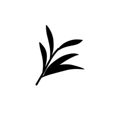plant leaf branch silhouette