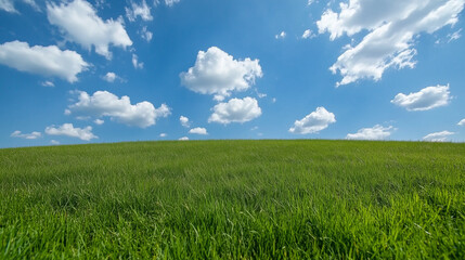 Obraz premium Rolling Green Grasslands Under Open Sky with Clouds