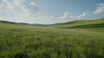 Fototapeta premium Rolling Green Grasslands Under Open Sky with Scattered Clouds