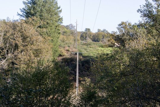 Power lines traversing lush greenery in Dordogne's serene landscape view.