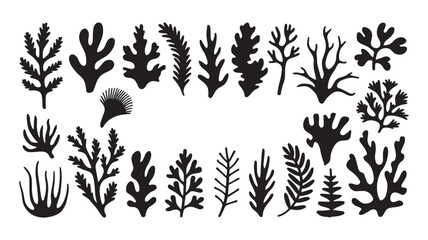 Abstract Algae seaweed shapes. Seaweed big set in silhouette style. Collection of black underwater plants