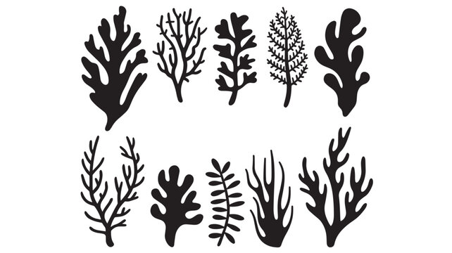 Abstract Algae seaweed shapes. Seaweed big set in silhouette style. Collection of black underwater plants