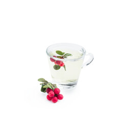 Tasty lingonberry tea isolated on white