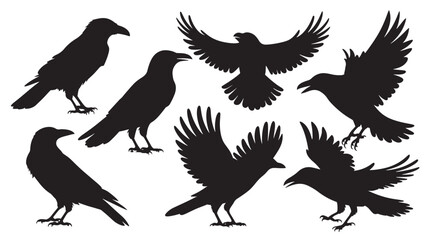 Obraz premium vector silhouette of a crow