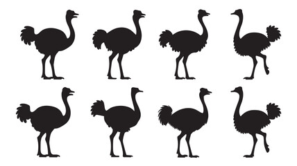 Fototapeta premium silhouettes of ostriches on a white background