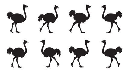Fototapeta premium silhouettes of ostriches on a white background