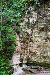 The sandstone cliffs of Hinni gorge, hinni kanjon, a 20 metre deep gorge with green trees and sandstone cliffs, sandstone gorges near Rouge, Võru, Voru, Estonia