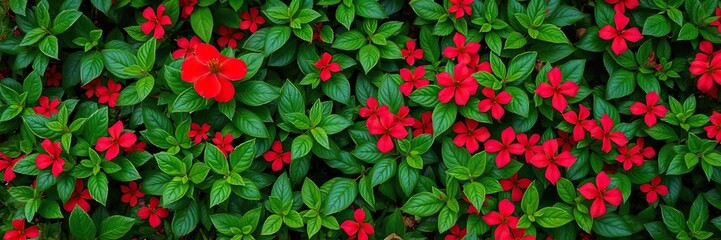 Lush green foliage with vibrant red flowers in a garden setting showcasing the natural world's beauty, , greenery