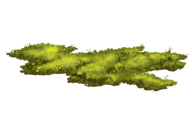 tropical grass illustration 