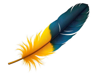 A colourful blue and yellow feathers isolated in white background