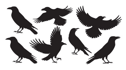 Obraz premium vector silhouette of a crow