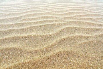 Fototapeta premium Sandy Beach Texture Background Natural Fine Golden Grains Minimalist Warm Sand Dunes Landscape