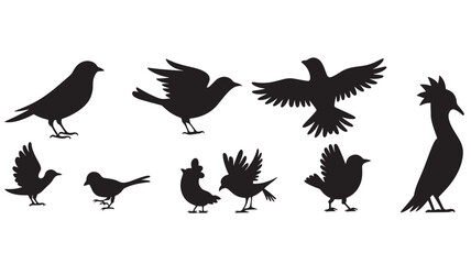 Obraz premium silhouettes of birds