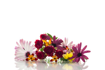 small bouquet of small multi-colored summer flowers