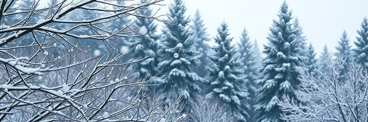 Snowflakes fall gently around the branches of bare deciduous trees swaying in the soft breeze as snow-covered evergreen trees loom in the background, snowy foliage, gentle snowfall