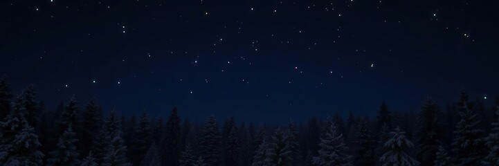 The night sky is filled with twinkling colorful Christmas lights as a frosty forest backdrop provides a magical setting, festive atmosphere, frosty forest, winter magic