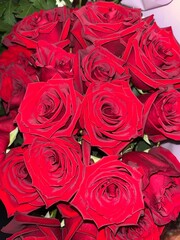 Naklejka premium red roses background