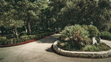 Serene park pathway lined with lush green trees and a stone statue under a clear sky in Erice, Italy