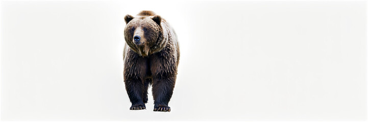 Fototapeta premium A majestic bear painted in watercolor, with rich, earthy tones capturing the texture of its fur and powerful stance, set against a transparent background.