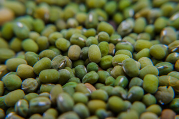 The mung bean (Vigna radiata), alternatively known as the moong bean, green gram, or mung, is a plant species in the legume family. The mung bean. It is an ingredient in both savory and sweet dishes.