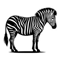 Zebra vector: a striking and detailed illustration of the iconic striped equine, capturing the unique pattern, graceful form, and dynamic movement of the zebra in its natural habitat with exceptional.