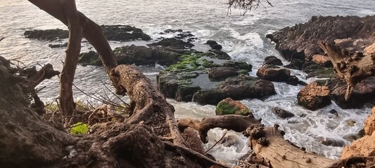 water and rocks