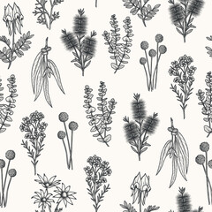 Hand drawn Australian native flowers background © Maria