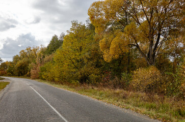 Obraz premium Asphalt country road near trees. A bend road at rural Europe