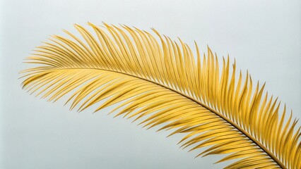 Fototapeta premium Close-up shot of a single yellow palm frond with intricate veination and texture against a pale gray background, yellow, texture, organic