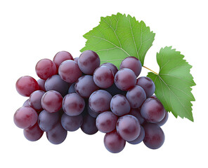 Fototapeta premium Red grape with leaves on white, Bunch of fresh red juicy grapes on white, With clipping path.