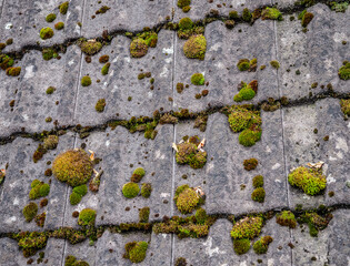 Lichen and moss on the roof are unsightly and damage the tiles. Over time, they cause the material to become porous. At the same time, these plants also create unsightly green, yellow or white spots.