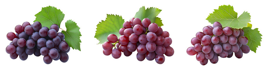 Fototapeta premium Red grape with leaves on white, Bunch of fresh red juicy grapes on white, With clipping path.