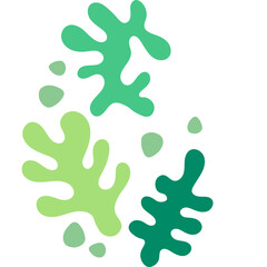 Abstract Coral Shape