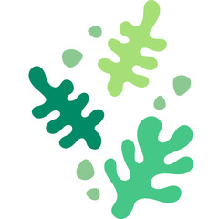 Abstract Coral Shape