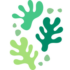 Abstract Coral Shape