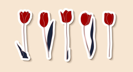 Red tulips hand drawn isolated on a light background. Flower stickers set