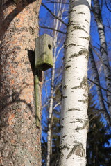 A birdhouse installed on the trunk of a tree is ready for the settlement of wild birds in the spring nesting period