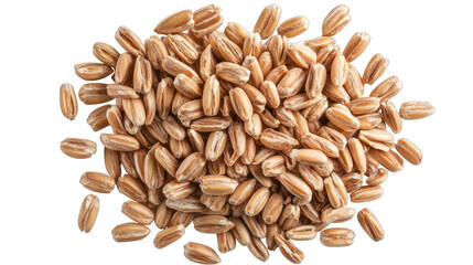 Finely isolated top view of organic peeled spelt grains on a white canvas.